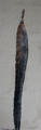 ht 56 cm