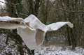 hiver 2012