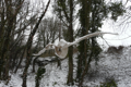 hiver 2012
