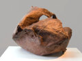 bronze 45/50 cm