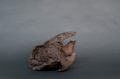bronze 30/35 cm