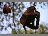 IMG6909
